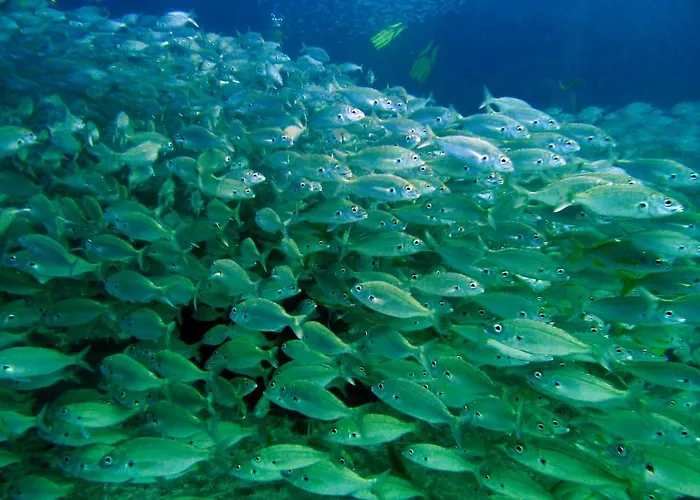 Relax Dunas Apartment Playa del Ingles (Gran Canaria)