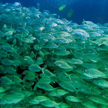 Molinos Relax דירה פלאייה דל אינגלז